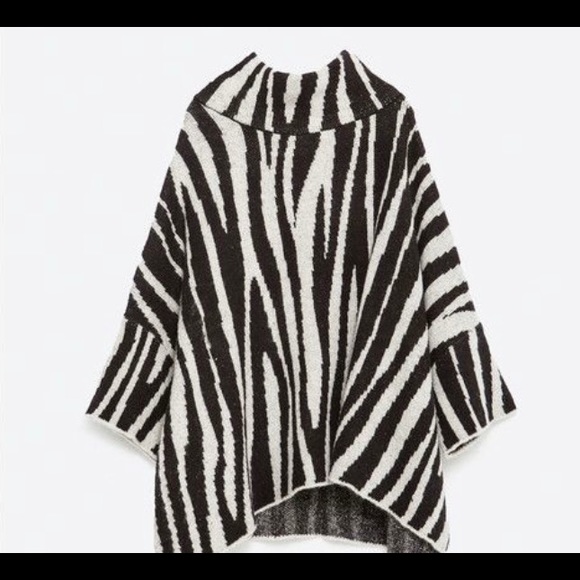 Zara Oversized Sweater - Picture 4 of 7